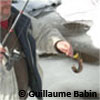 Actualité sur la pêche sur glace :